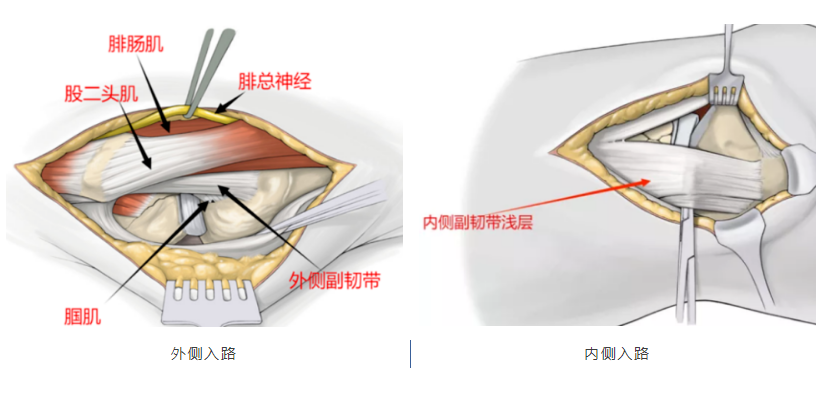 微信圖片_20250425104648