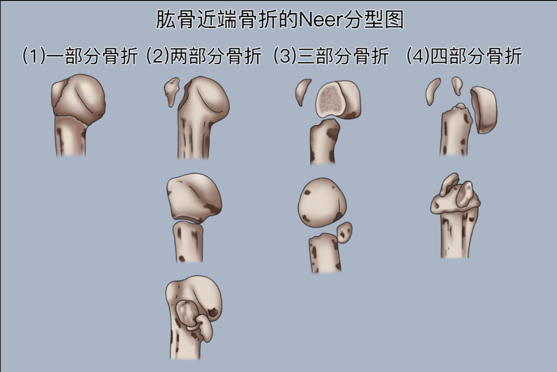 微信圖片_20250606155505